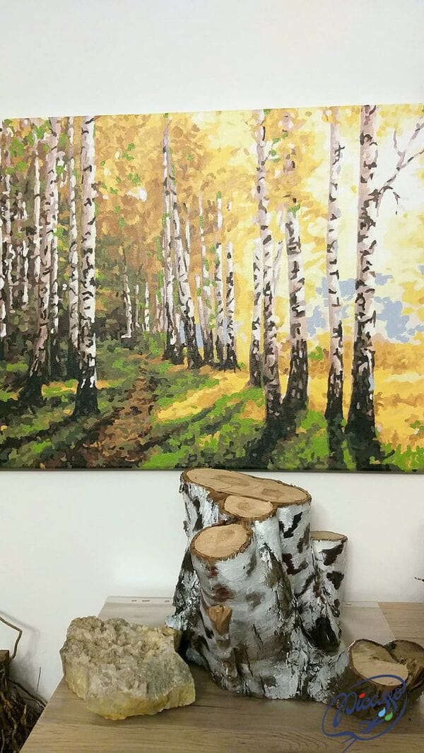 Słoneczne brzozy 40x50 cm