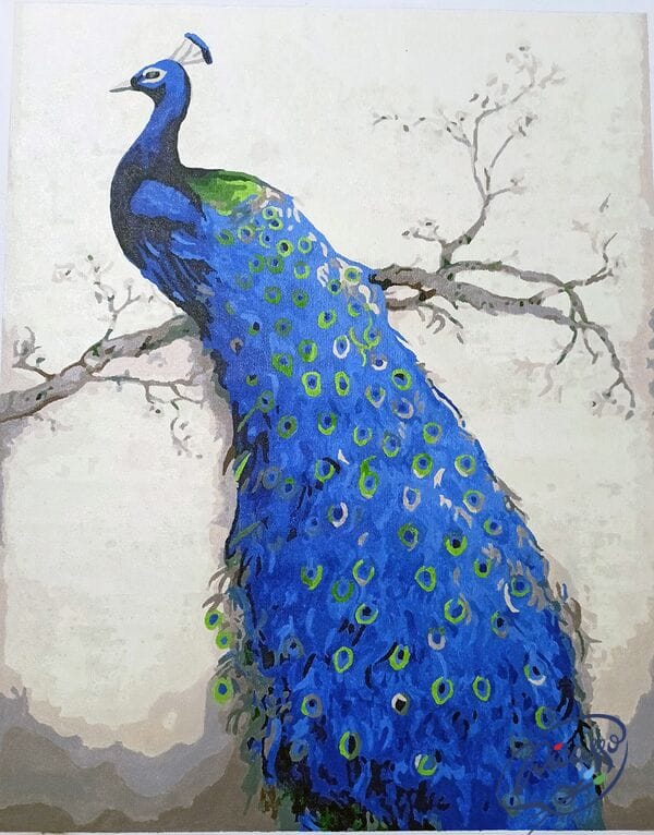 Paw 40cm*50cm (bez ramy)